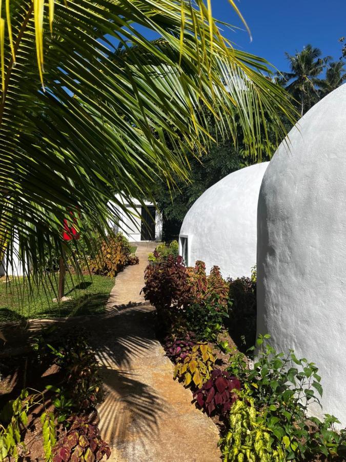 Хостел Camp Taveuni Матеи Экстерьер фото