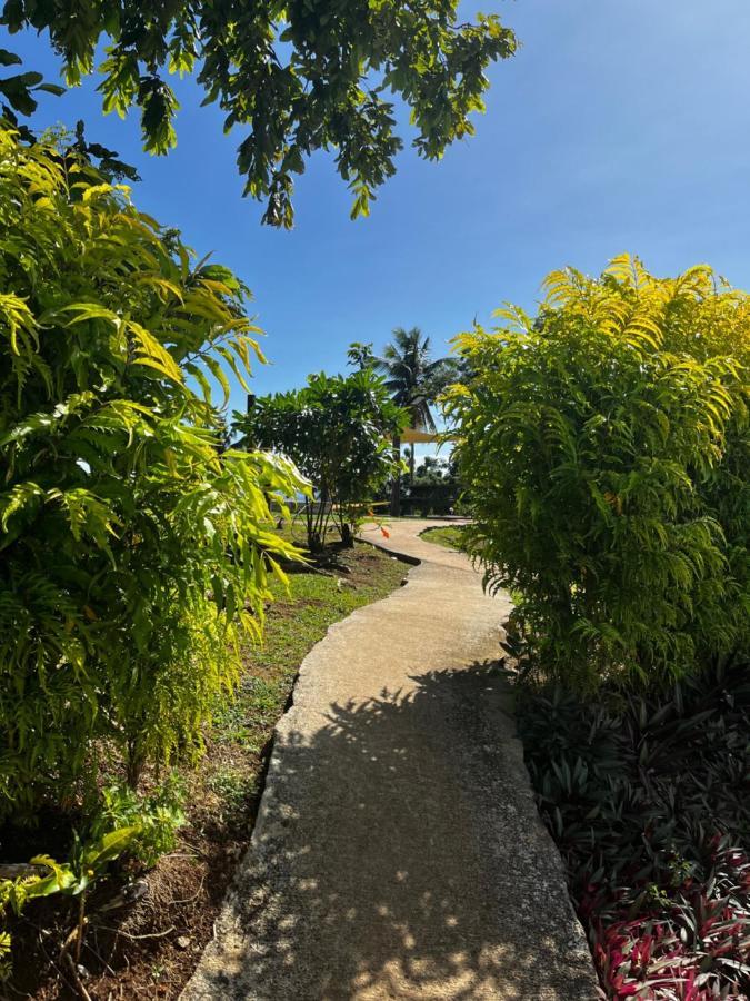 Хостел Camp Taveuni Матеи Экстерьер фото