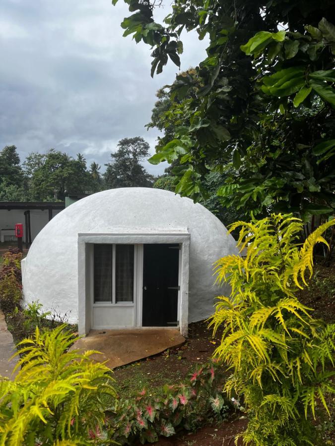 Хостел Camp Taveuni Матеи Экстерьер фото